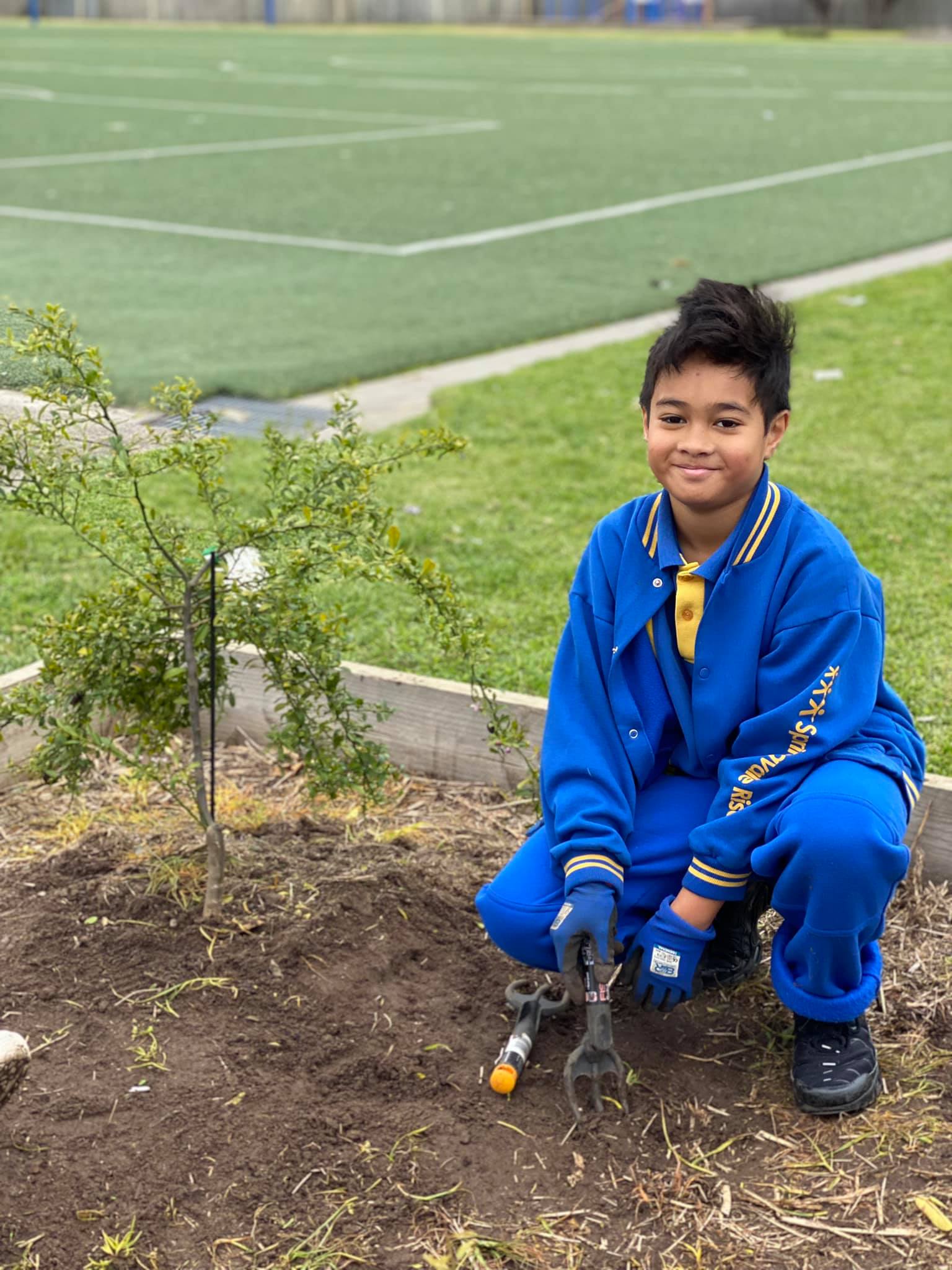 Springvale Rise Primary... - Springvale Rise Primary School