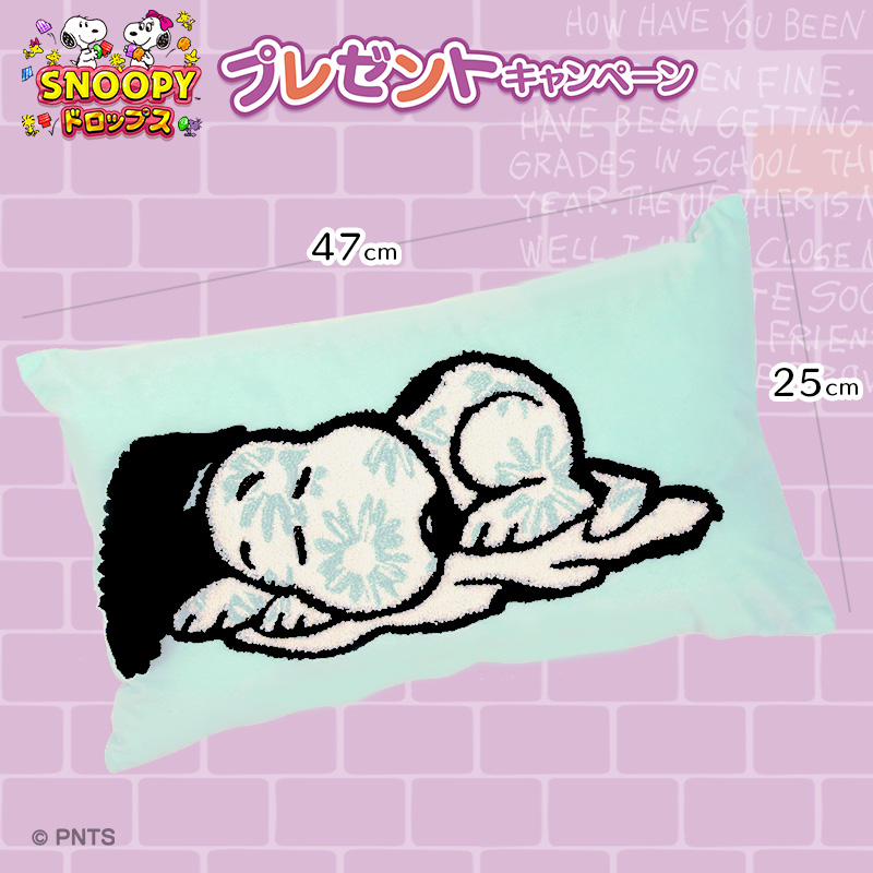 スヌーピードロップス - 【PLAZAコラボ記念プレゼントキャンペーン】 抽選で当たるイチオシグッズを紹介 ... | Facebook
