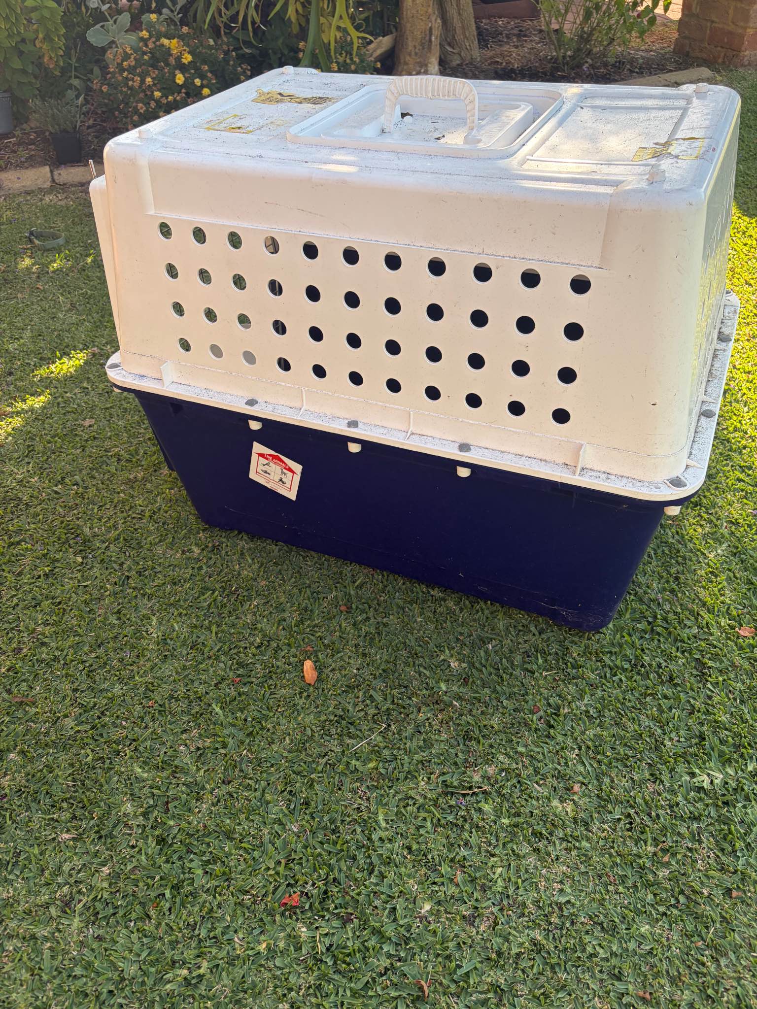 Dog crate PP50 - Pet Crates & Carriers - Perth, Western Australia ...