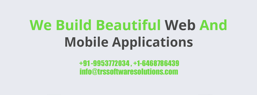 TRS Software Solutions Pvt. Ltd | Delhi