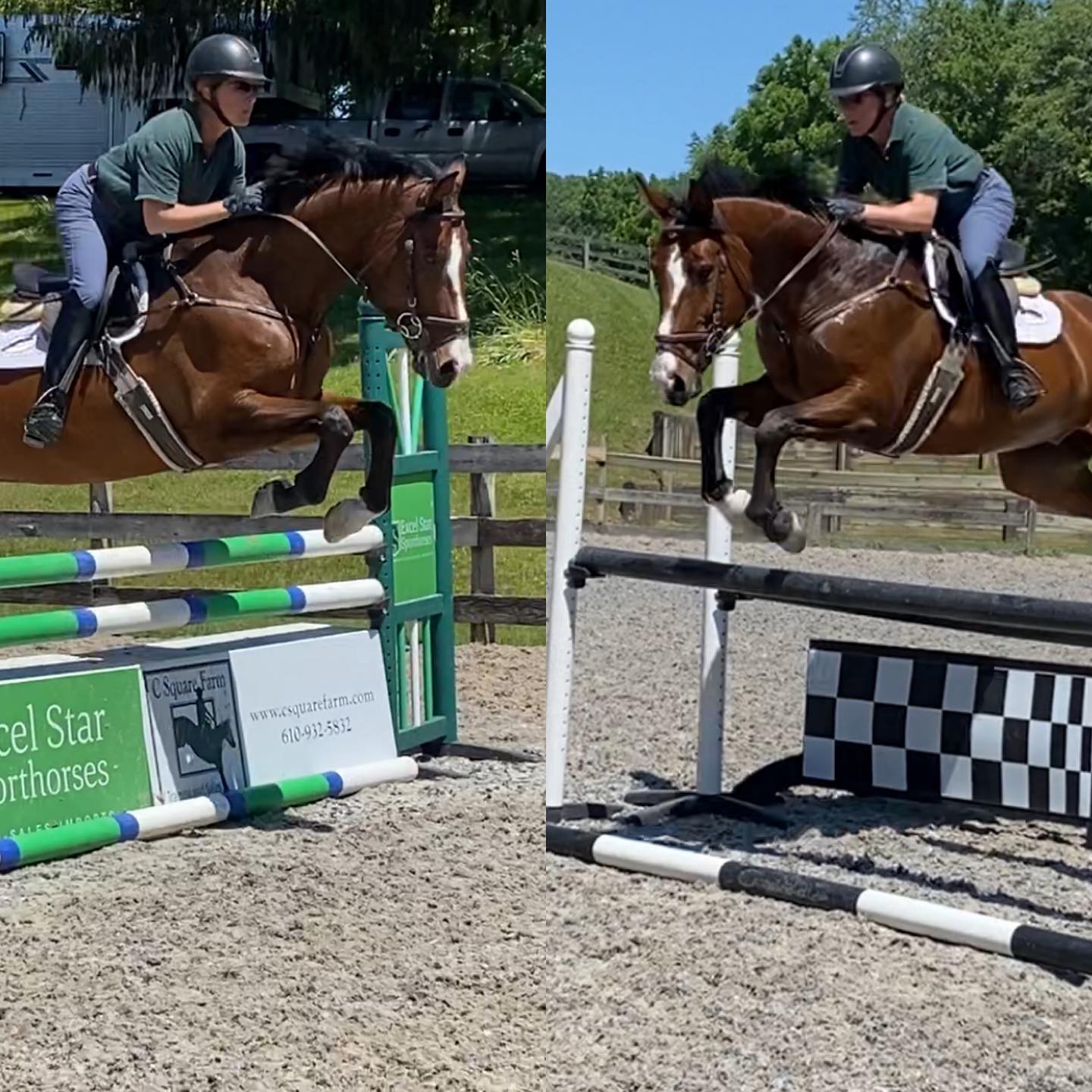 Welcome to new Excel Star horse,... - Excel Star Sporthorses | Facebook