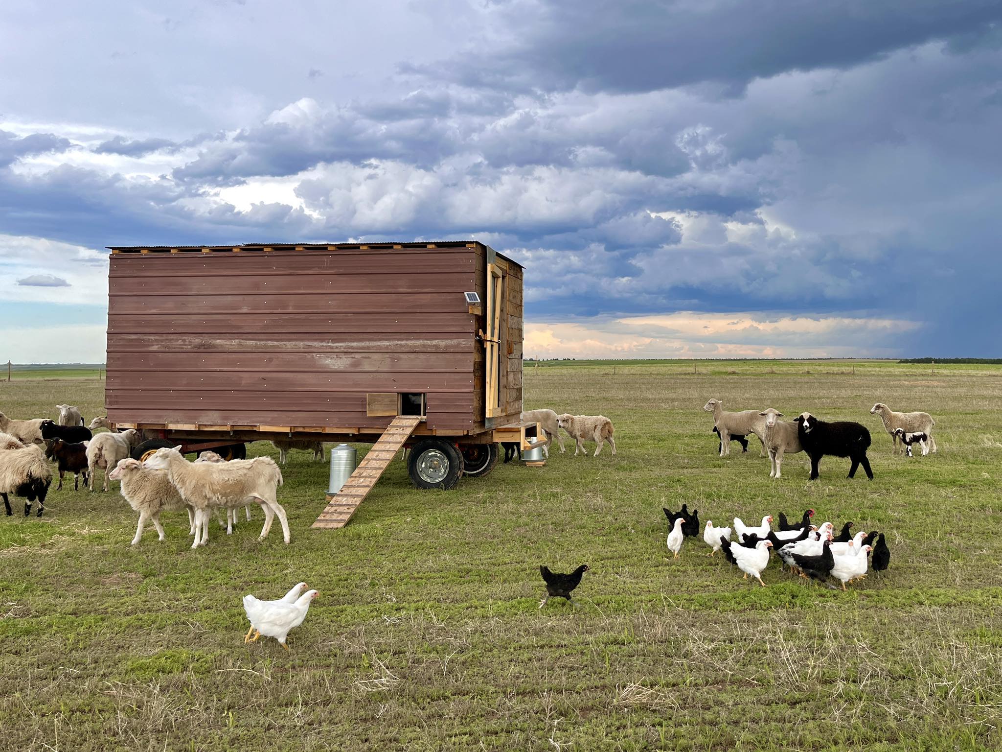 Guided Rock Farms | Hemingford NE