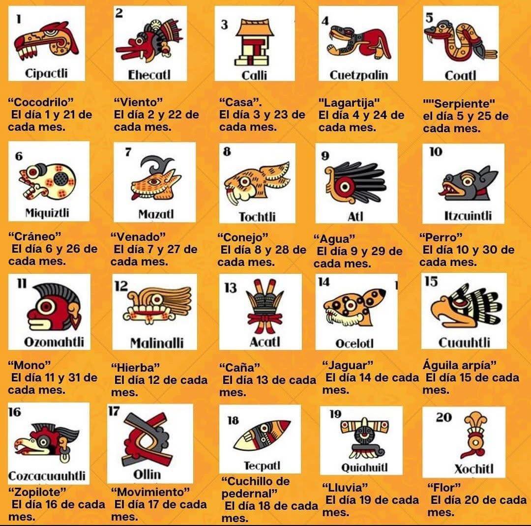 Oscar - El Los 20 Signos del Tonalpohualli: Sabiduría Chamánica del ...