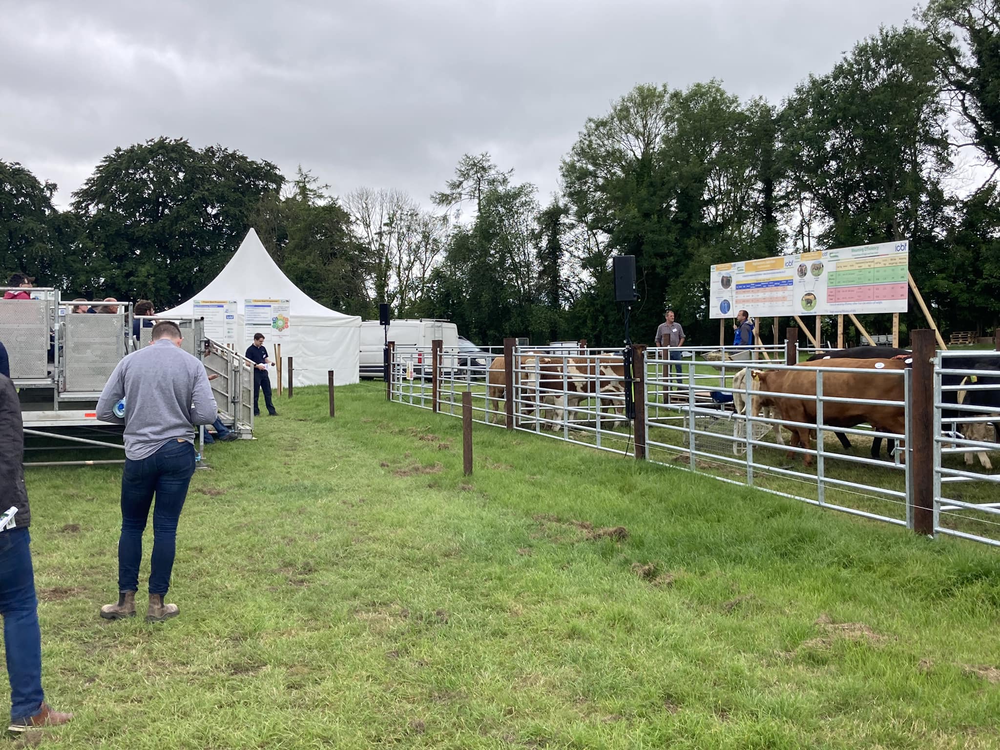 Teagasc Beef - The first live ICBF demonstration has... | Facebook