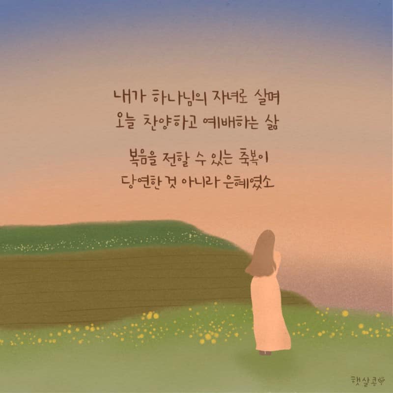 햇살콩 캘리그라피 - . 하나님의 복음을 전하는 씨앗, 햇살콩🌿 . . [ 모든 것이 은혜입니다.. ️...