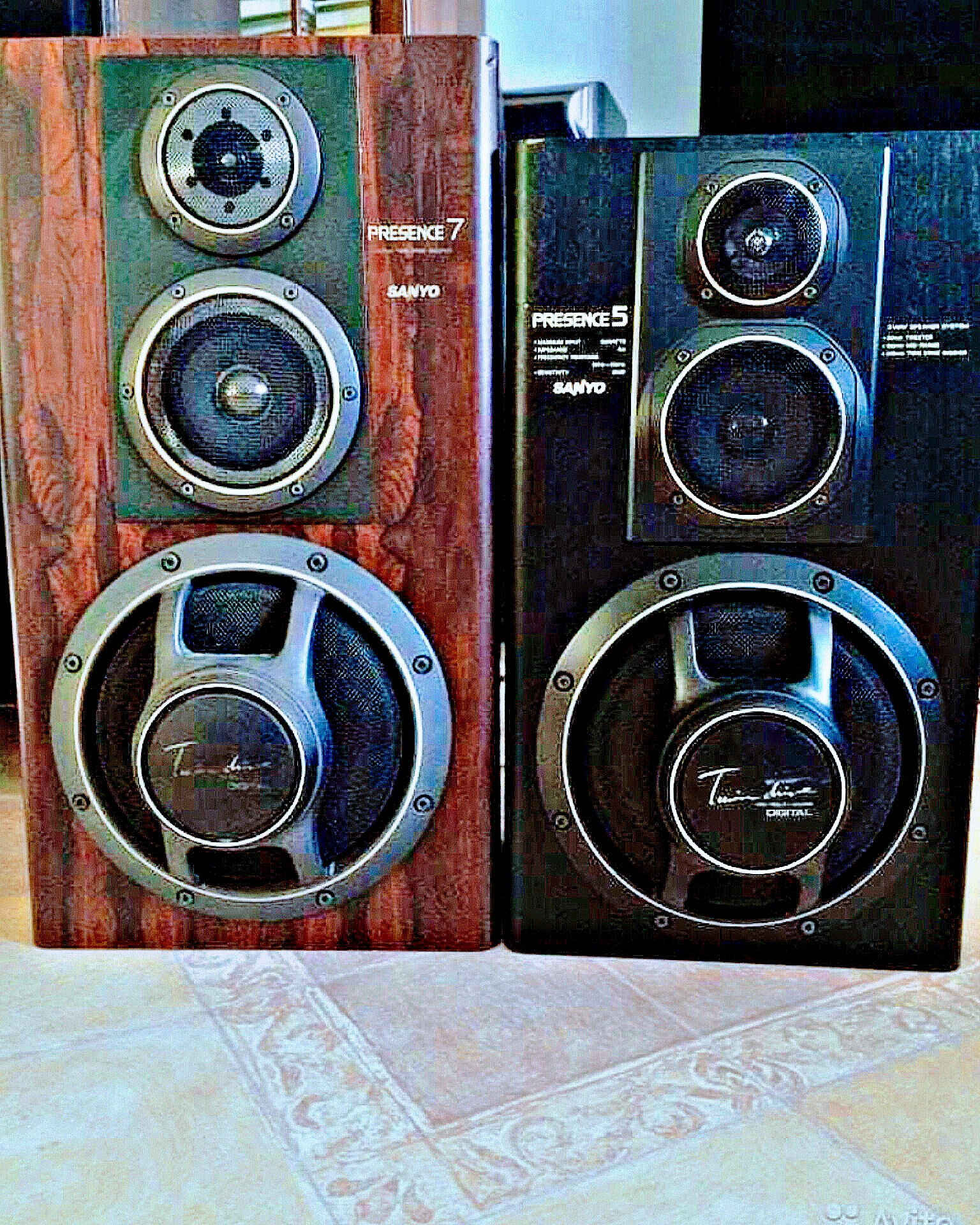 Sanyo Presence speakers, also known as Fisher STE-555 .👍