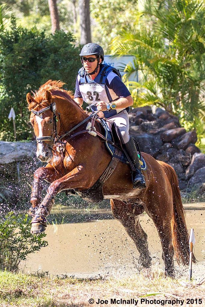 Premonition (imp)... - Hanoverian Horse Society of Australia | Facebook