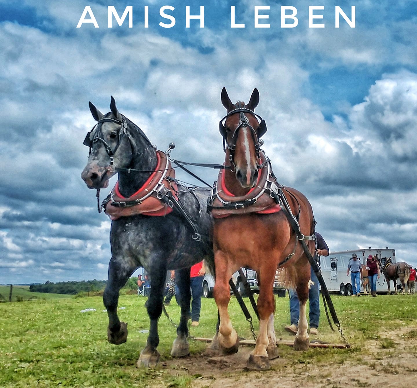 AmishLeben - I got in at the tail end of a horse pulling... | Facebook