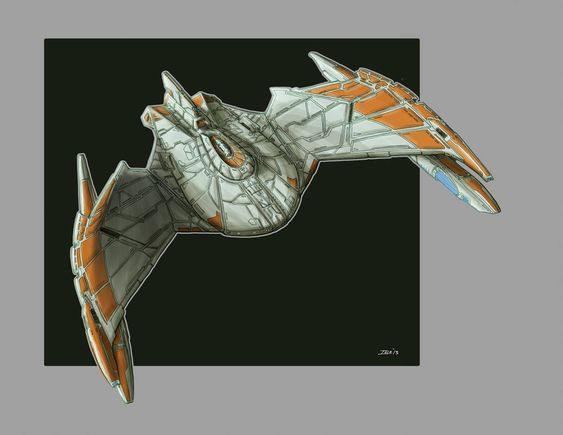 What is a Romulan Bird-of-Prey ship?