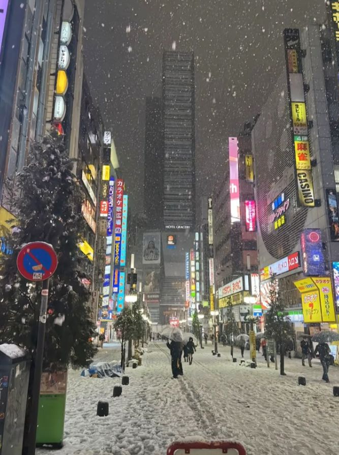 Winter in Japan 🇯🇵 ジン дЗЕ 粉 S0 ر CASINO 00а 9 C10 لمد ВННа