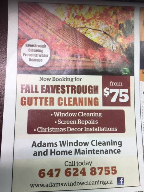 Adams Window Cleaning and Home Maintenance