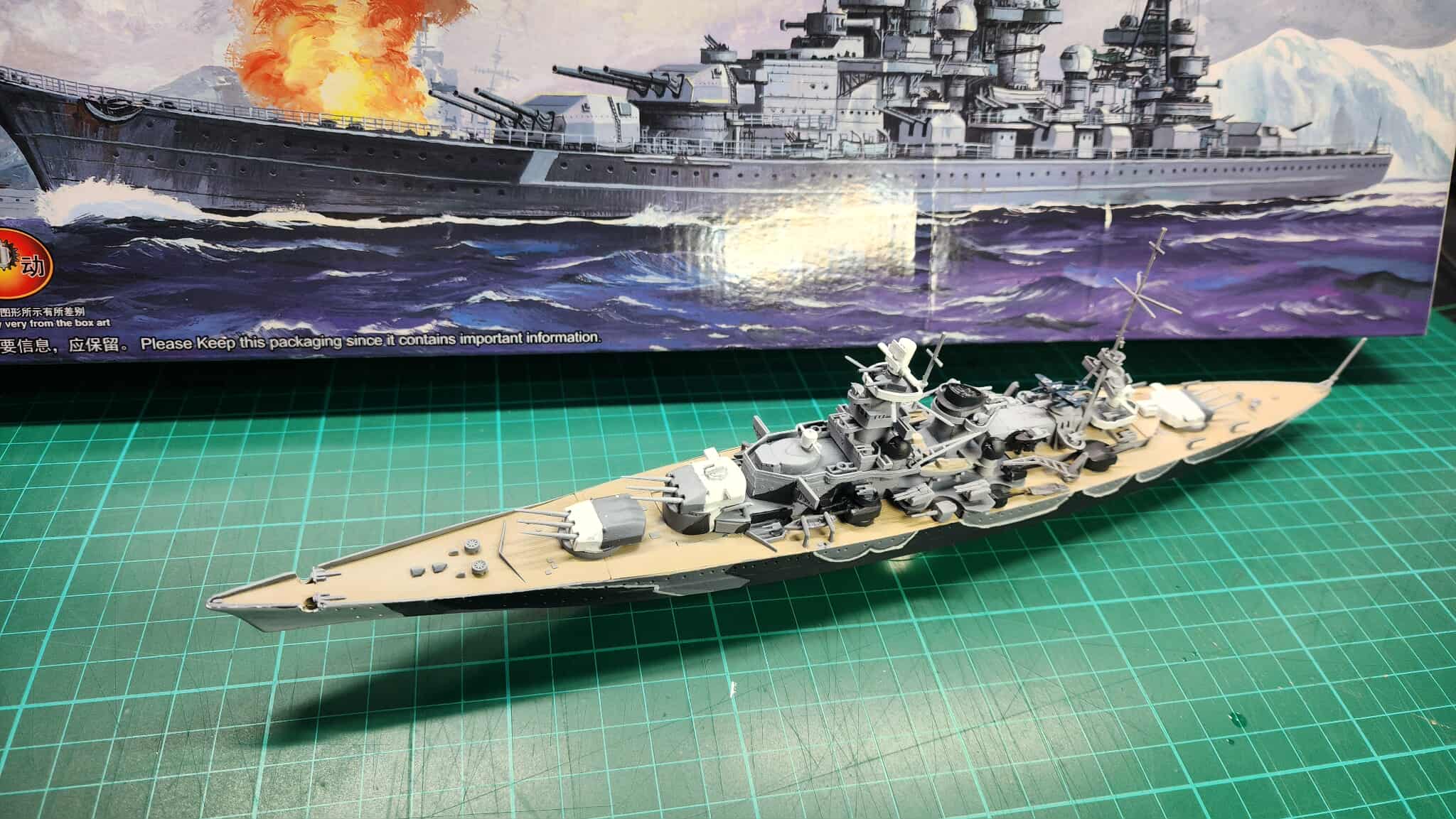 Scharnhorst model in baltic camo