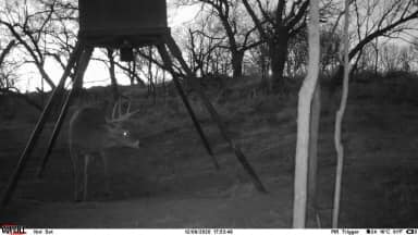 Buck Ration | McKinney TX