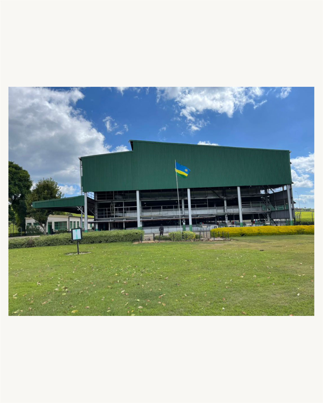 Silverback Tea - Our factory in the Gisovu Estate produces...
