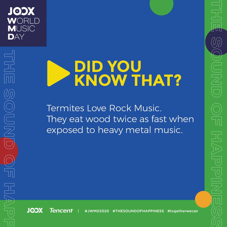 Joox Malaysia We Wood We Wood Rock You Stream Facebook facebook