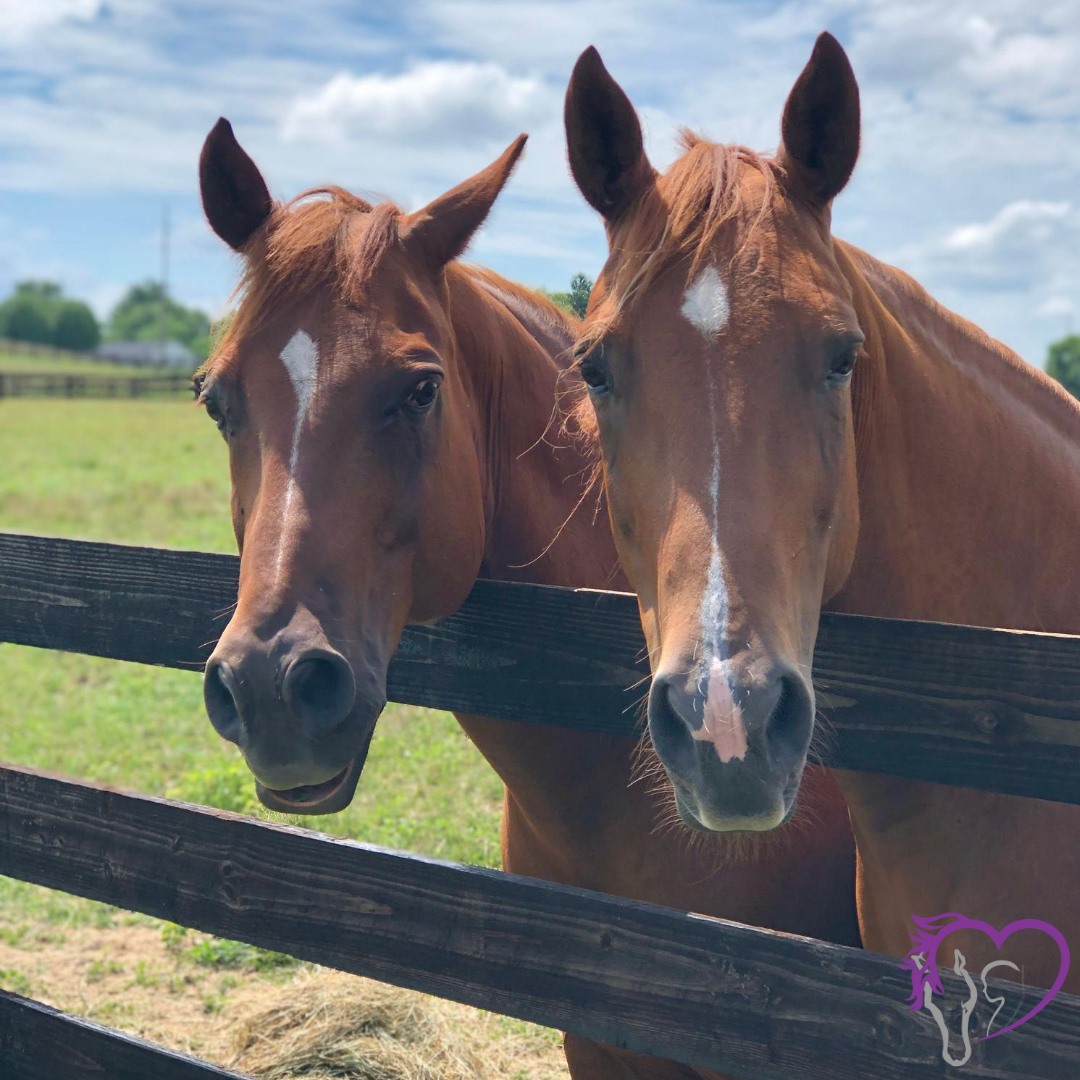 Happy Wednesday! Can you guess... - Discovery Riders Inc.