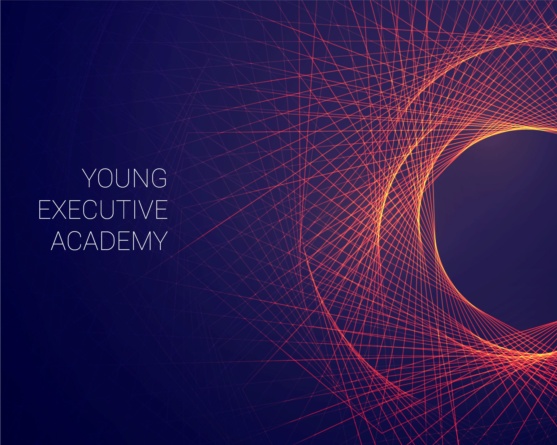 Young Executive Academy - YEA | Istanbul