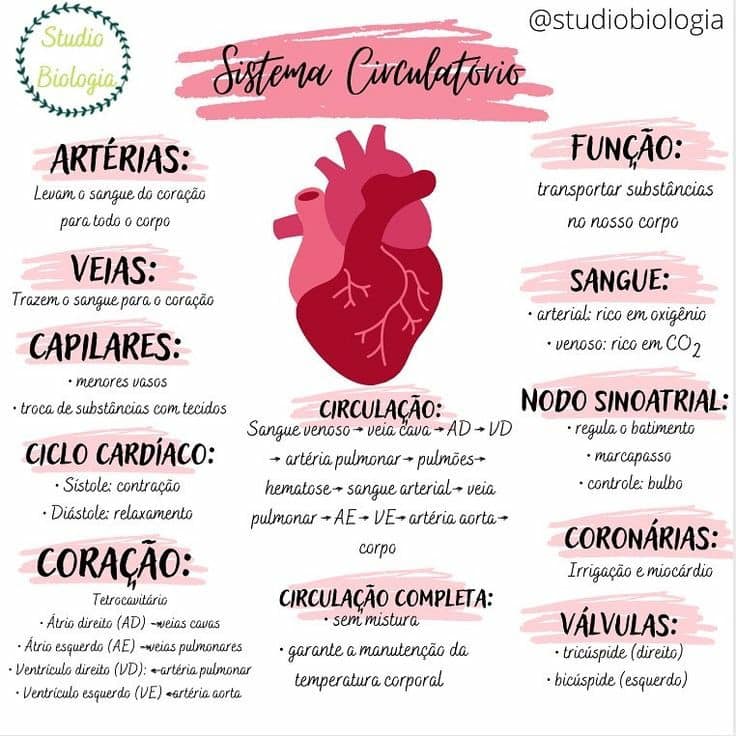 SISTEMA CIRCULATORIO - San Marcos Preguntas tipo | Facebook