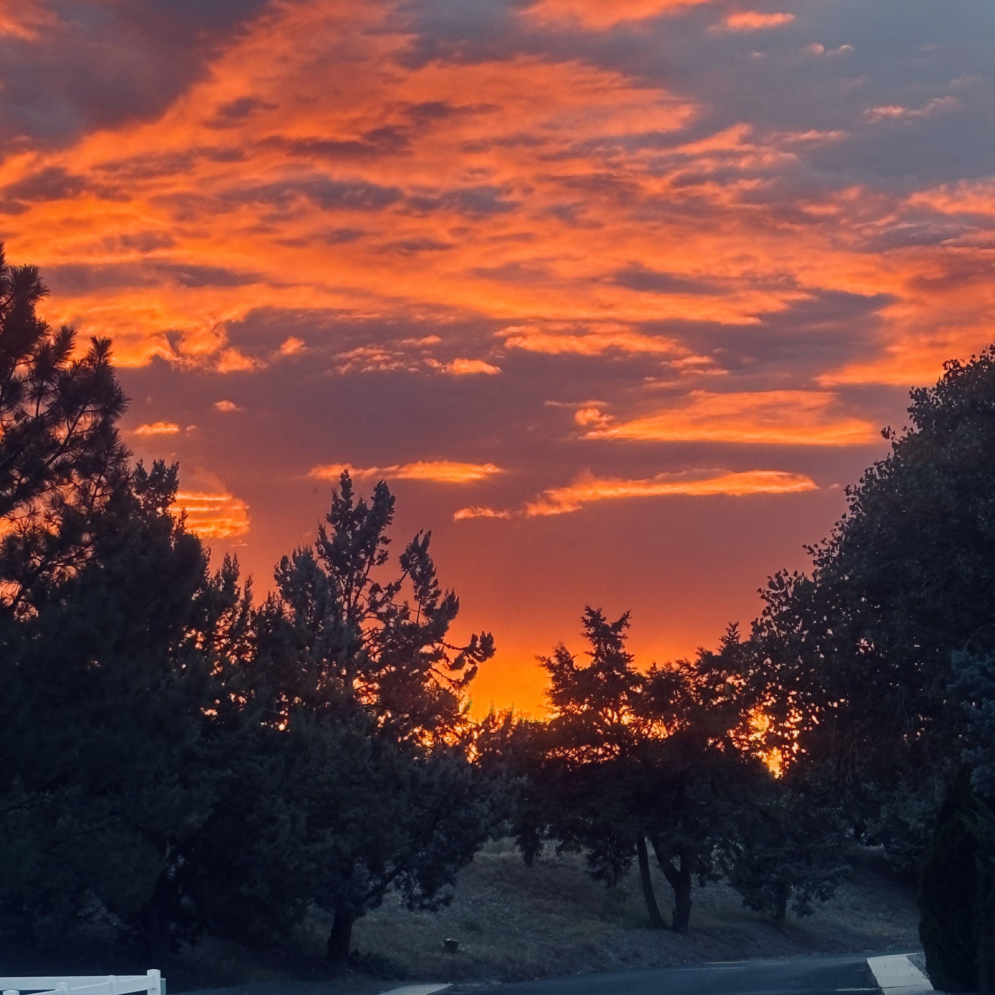 Arizona sunset
