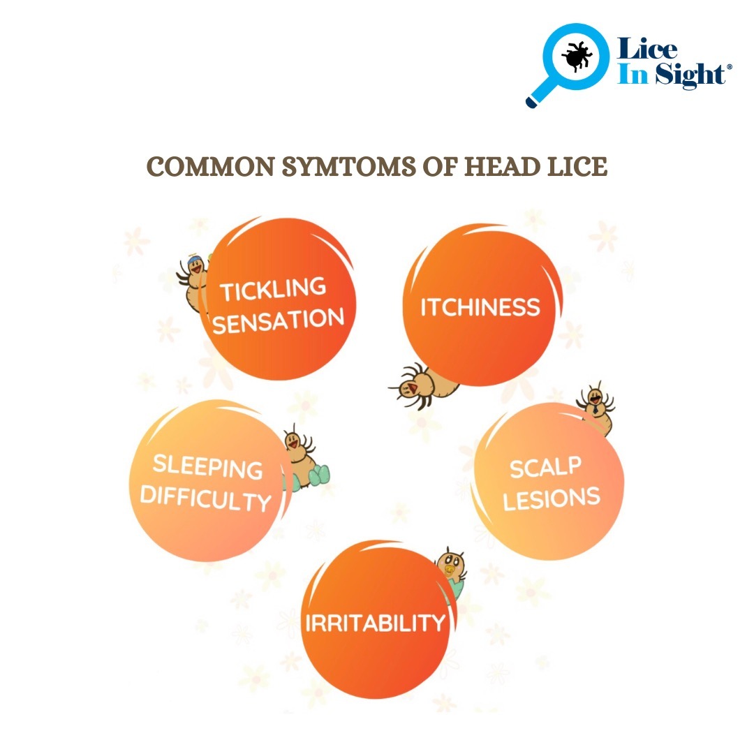 Lice In Sight - 👩🏻‍⚕️COMMON SYMPTOMS OF HEAD LICE. The...