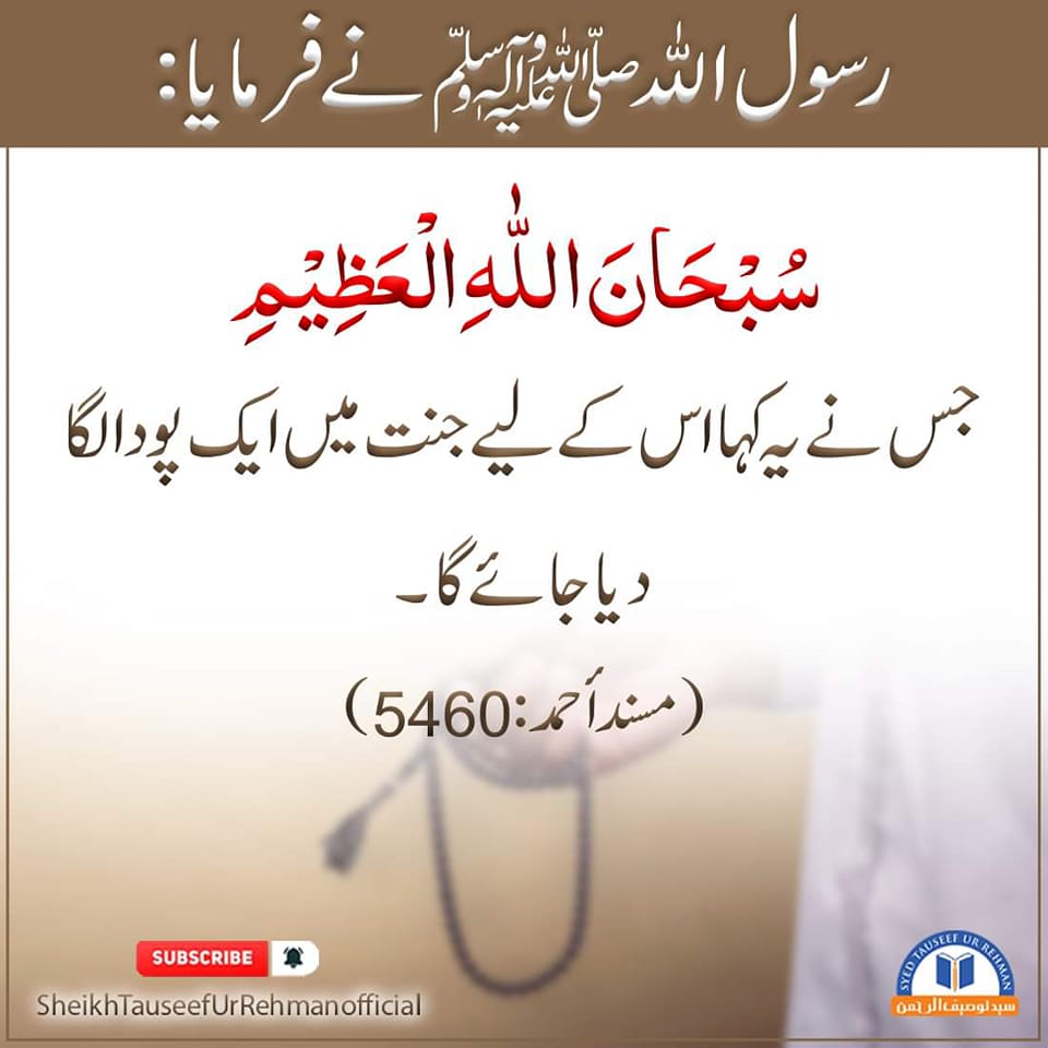 Quran o hadees - رسول اللہ ‌صلی ‌اللہ ‌علیہ ‌وآلہ ‌وسلم نے فرمایا: جس ...