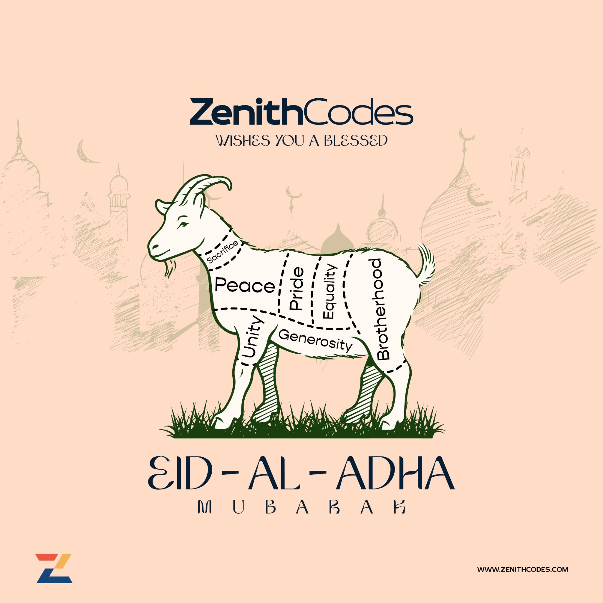 Zenith Codes