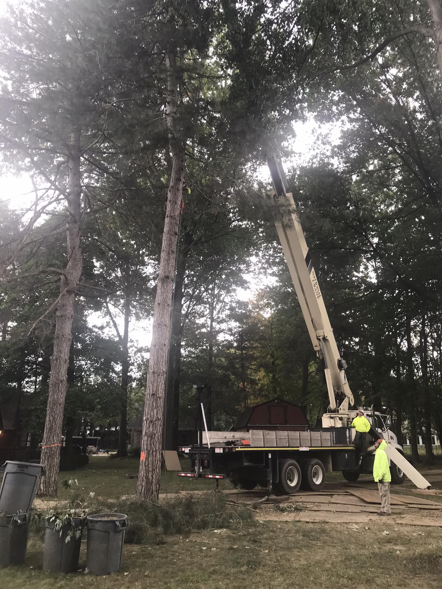 Wilson Tree Service | North Ridgeville OH