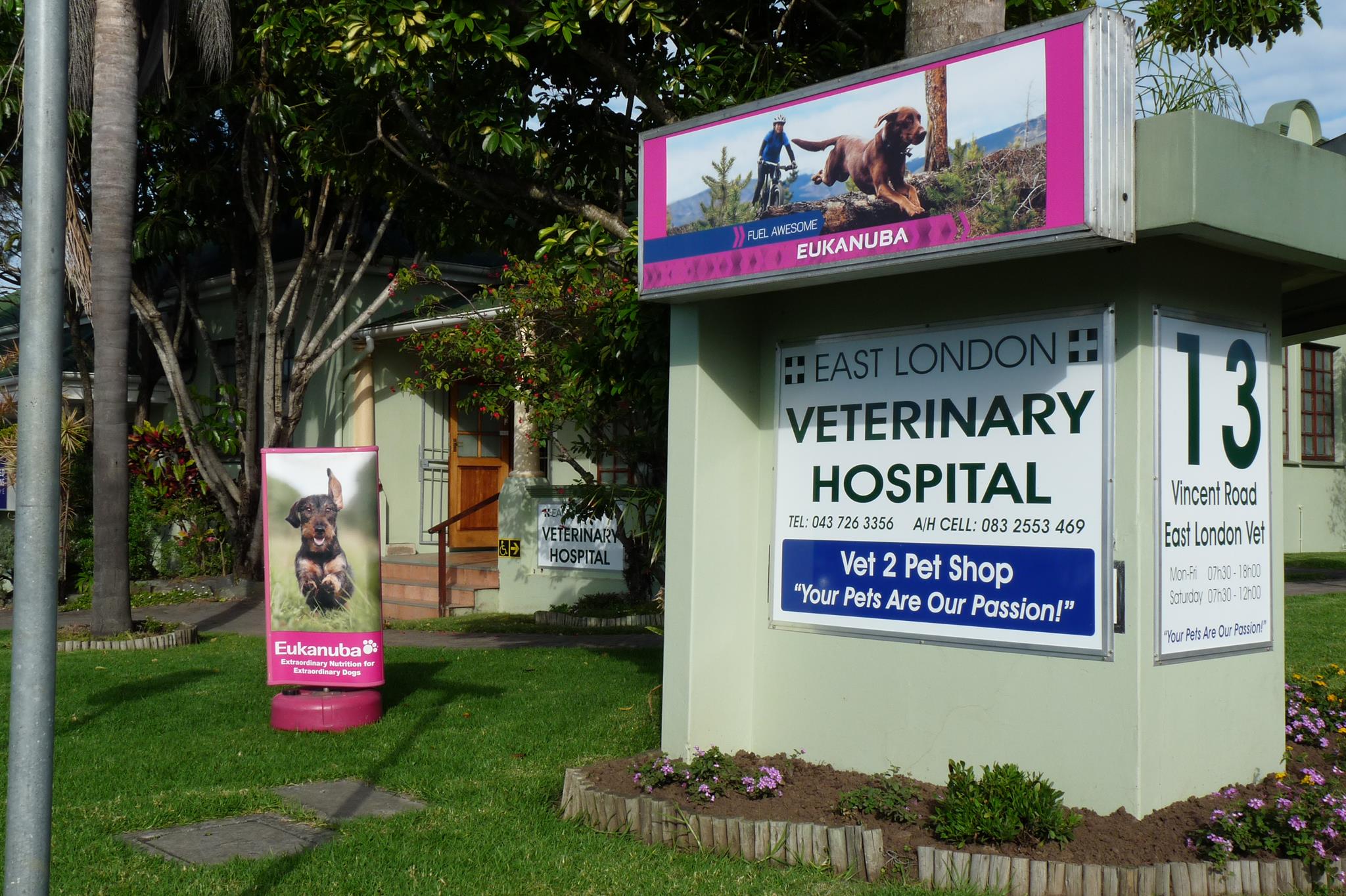 Update: This sweet... - East London Veterinary Hospital | Facebook