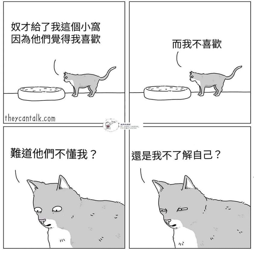 Lynn Wang