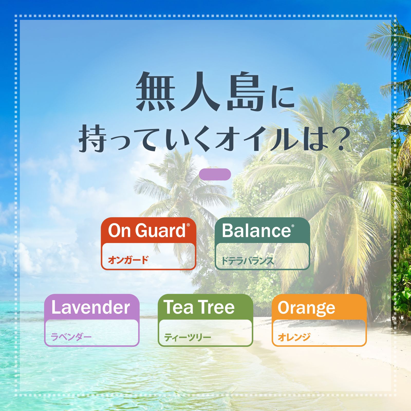 ドテラ doTERRA ラベンダー&ティーツリー15ml 新品未開封 厳しく