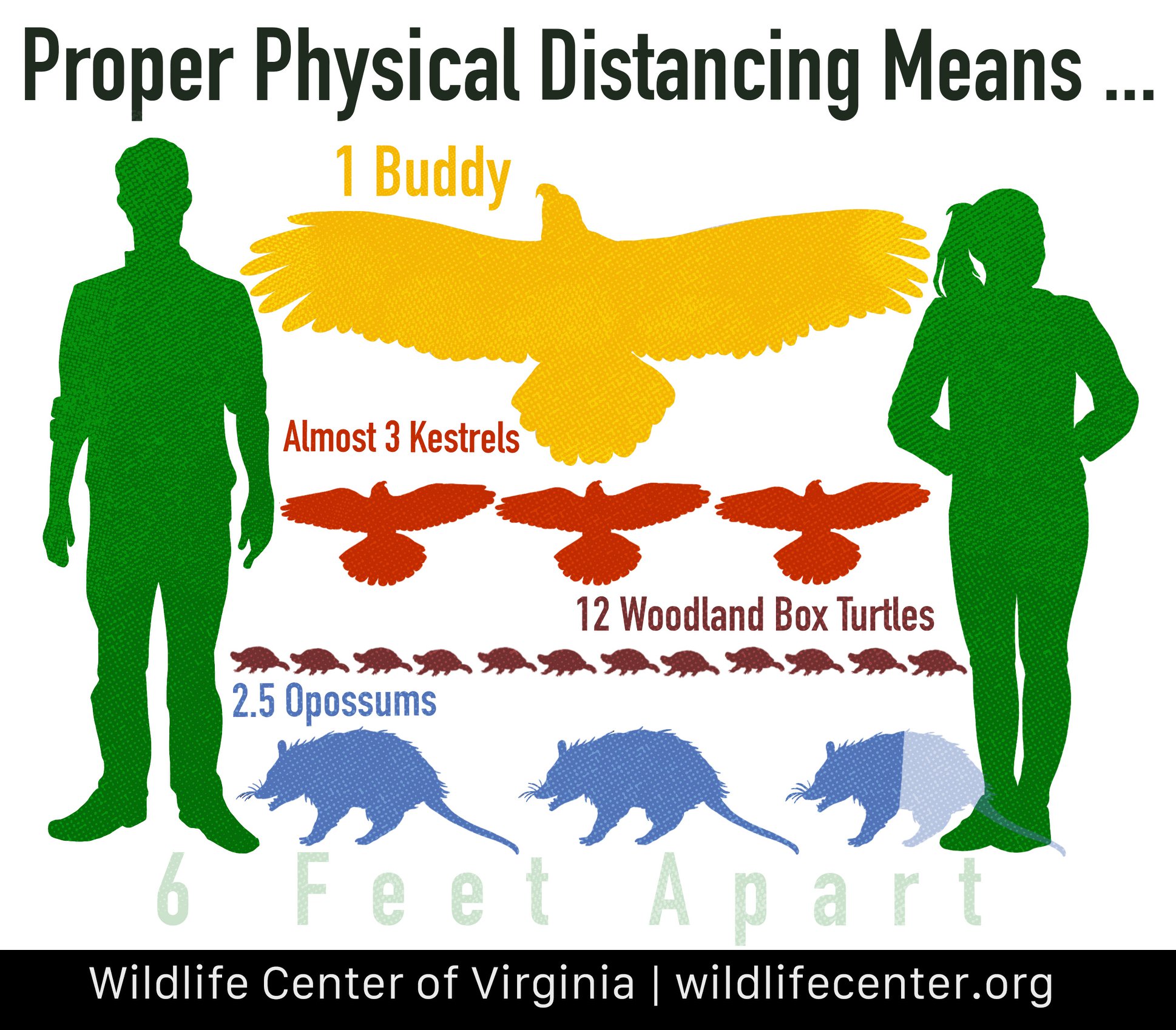 Safe Haven Animal Discovery Experience | Bolivia NC