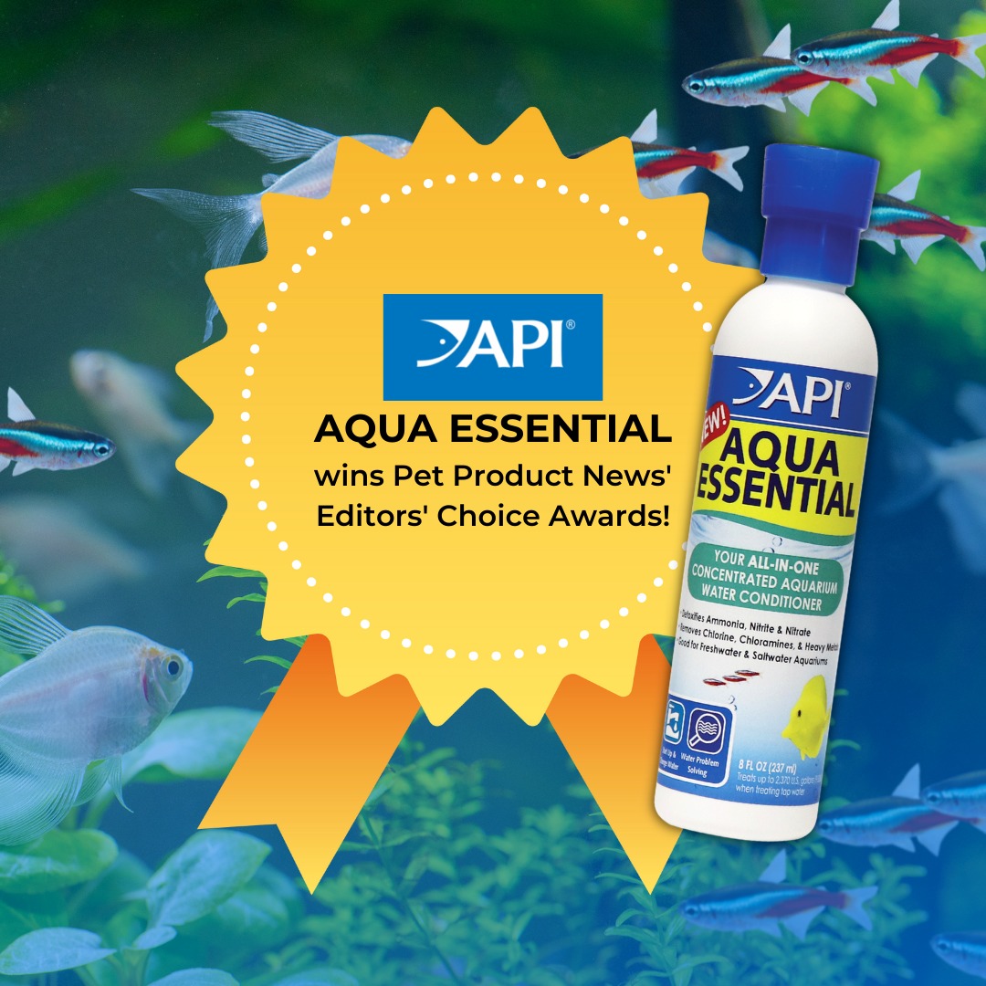 API Philippines - API brand is passionate about... | Facebook