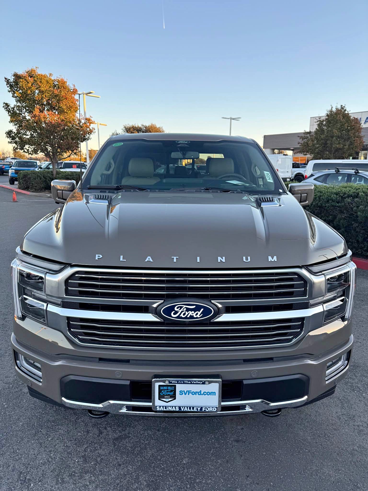 2025 Ford F-150 · Platinum Pickup 4D 5 1/2 ft - Cars & Trucks - Salinas