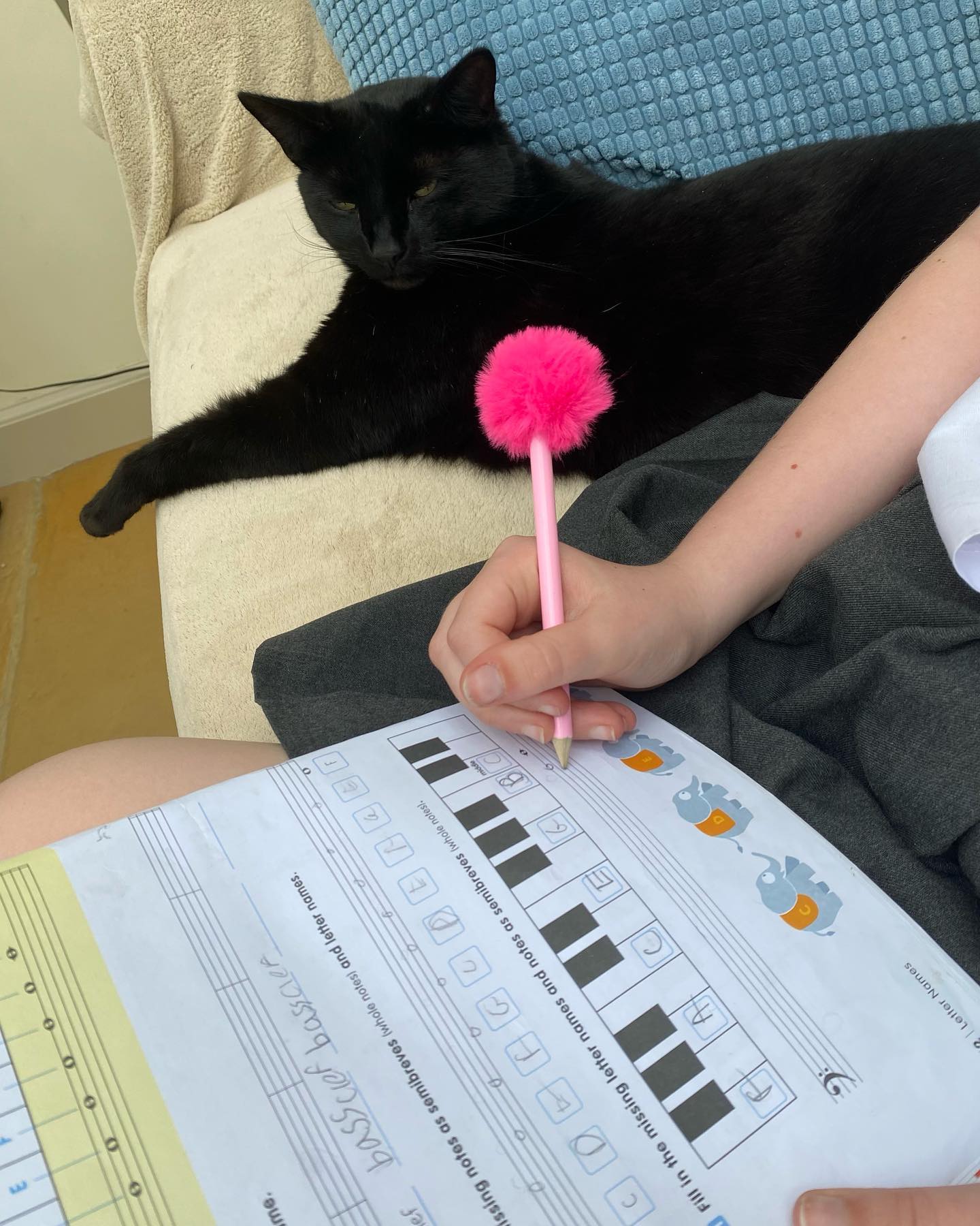Teddy helping with those Bass... - Beth's Home Piano Lessons