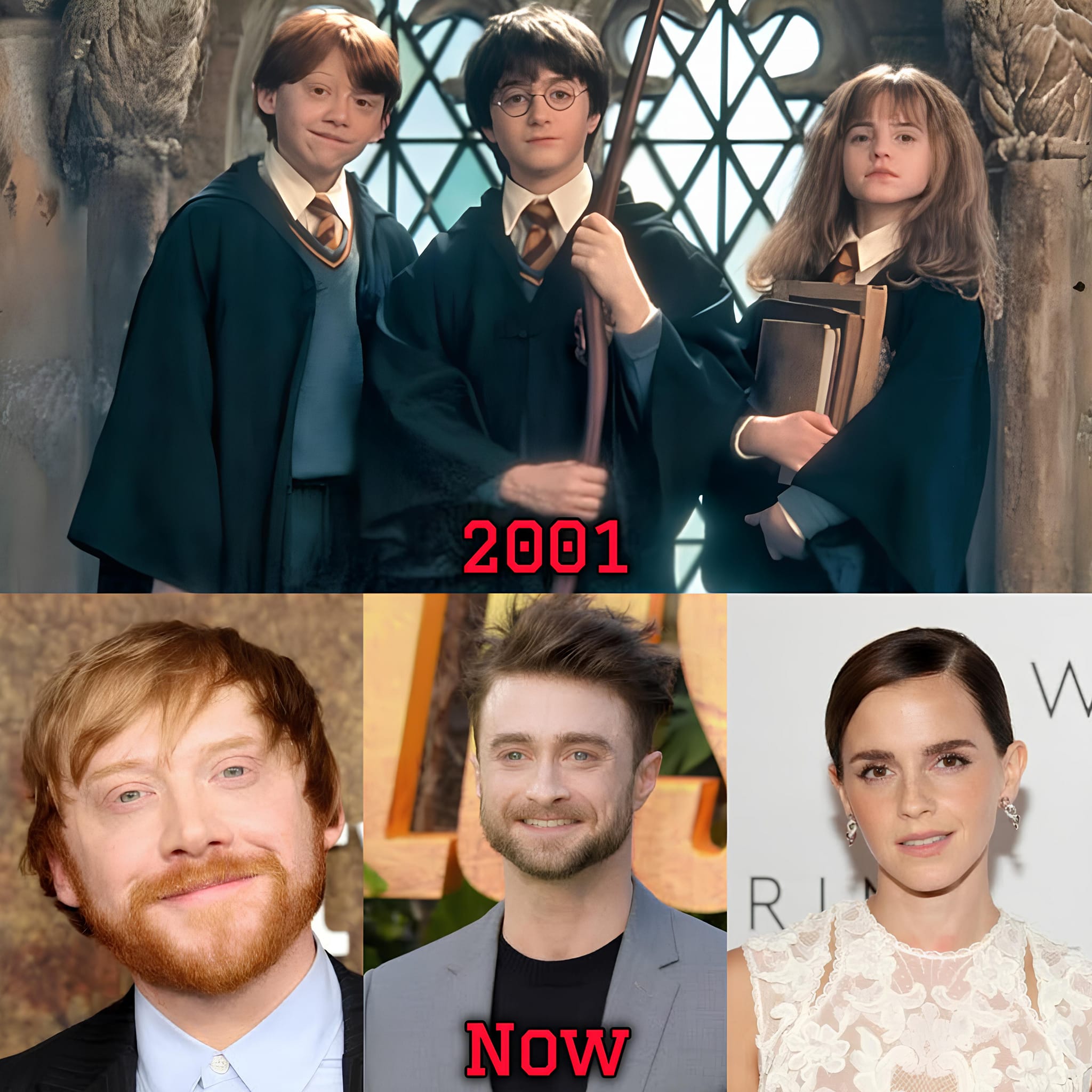 The Harry Potter series is one of... - Sanzee Entertaiment | Facebook