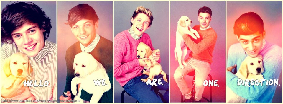 Hello. We. Are. One. Direction' ∞