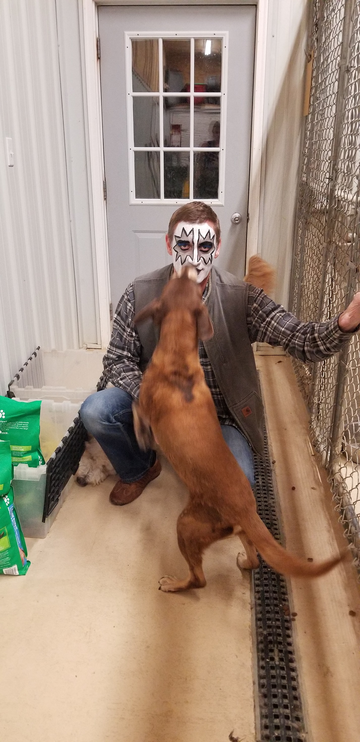 Lucky Dog Boarding Kennel Home