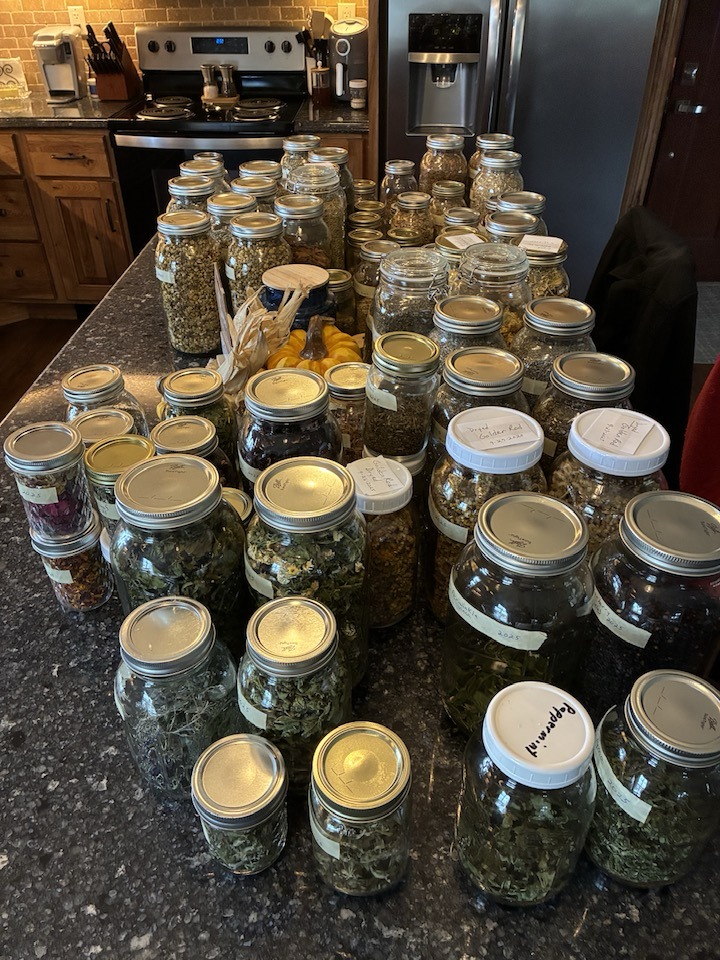 Terry Rettger - My home apothecary herbs have exploded the... | Facebook