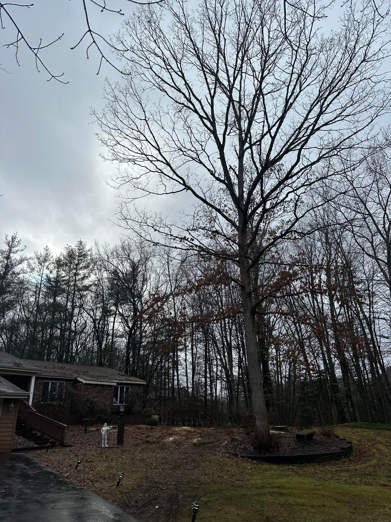 Ballston Tree & Property Services | Ballston Spa NY