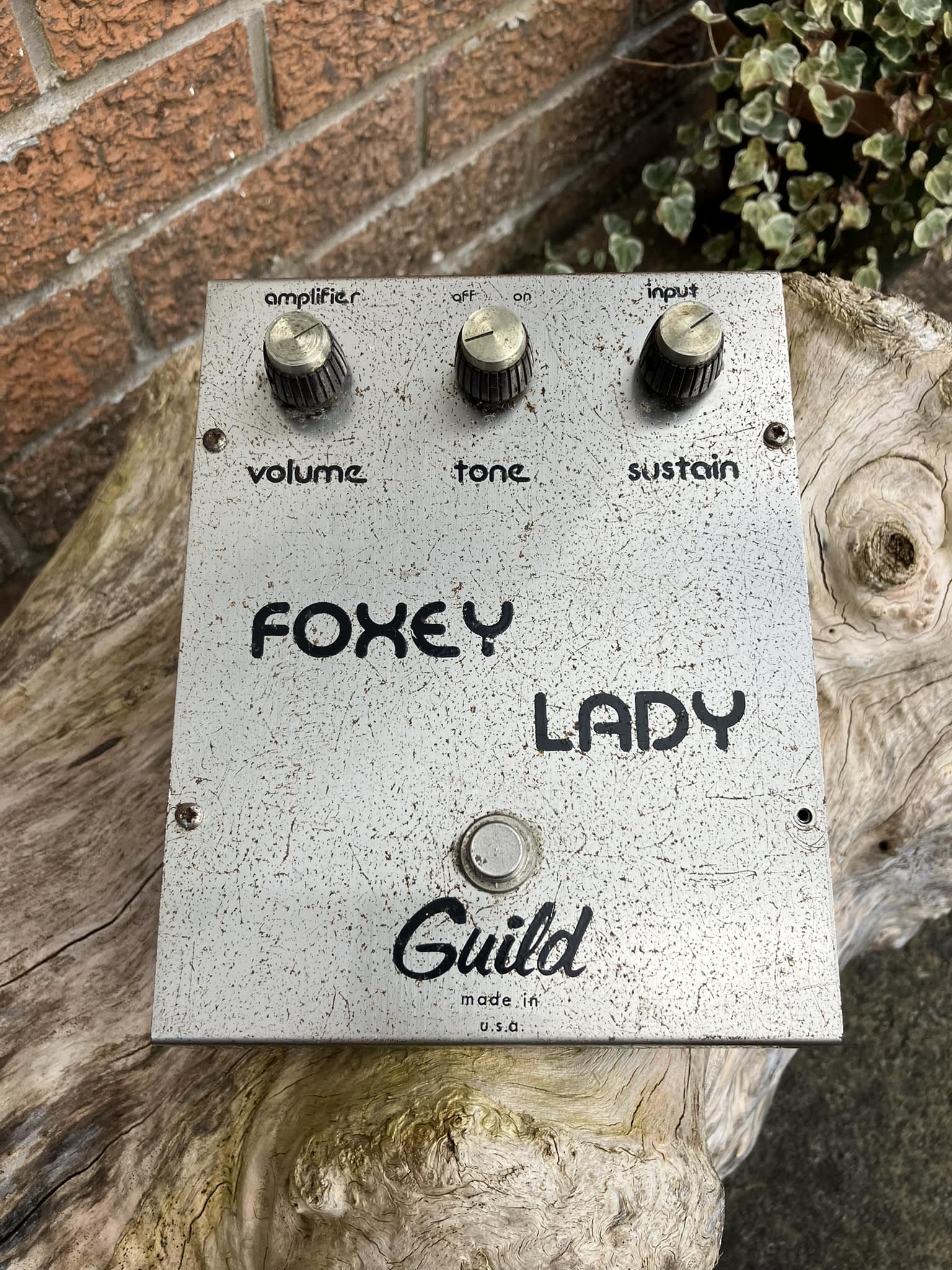 My old Guild Foxy Lady, I've no idea when it was made but it was