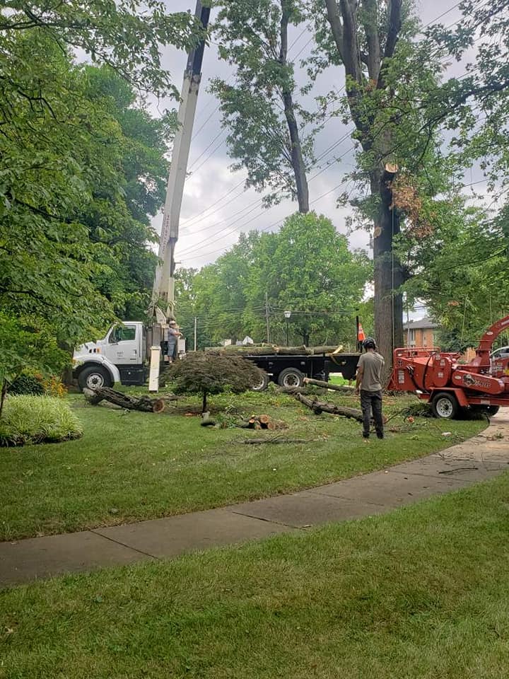 Grand Canopy Tree Service | Louisville KY