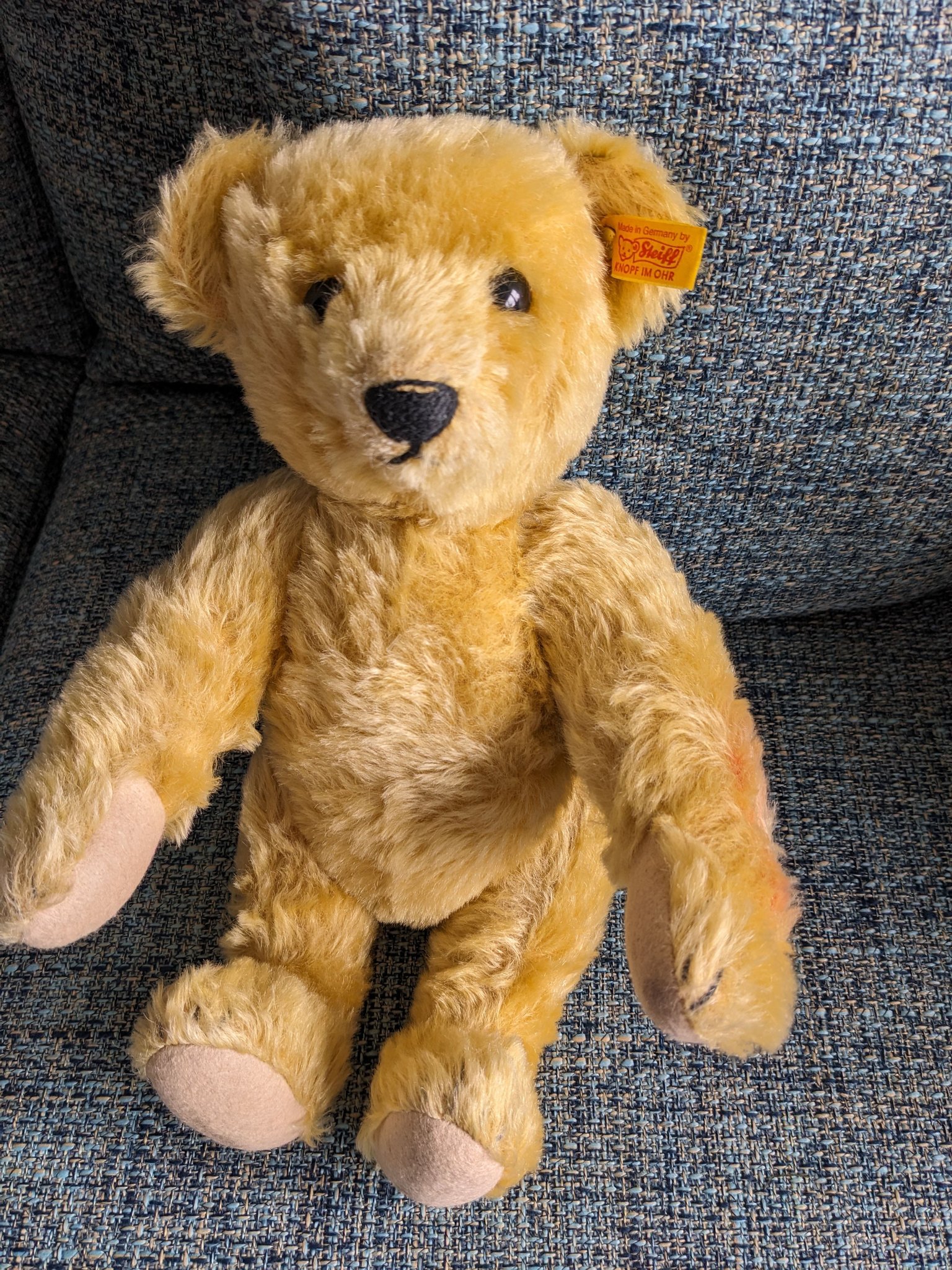 Vintage Steiff bear with rare US zone Germany label
