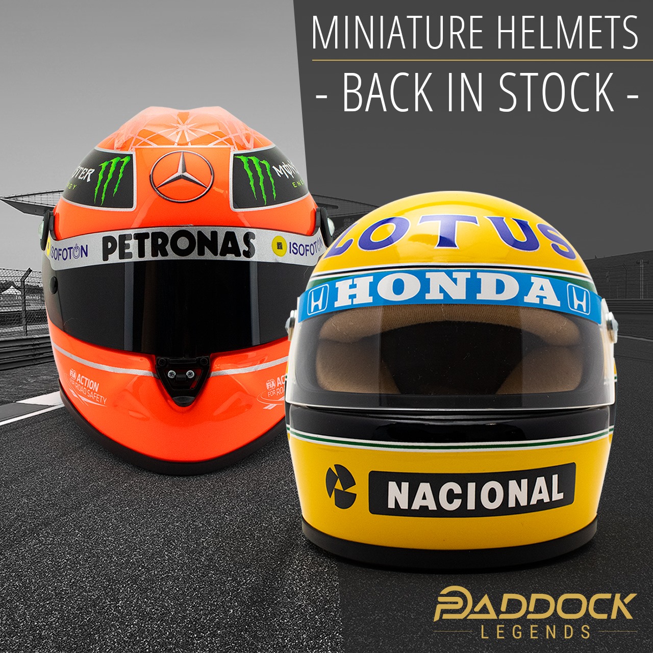 👀 Back in stock! 👀 Various... - Paddock Legends Onlineshop | Facebook