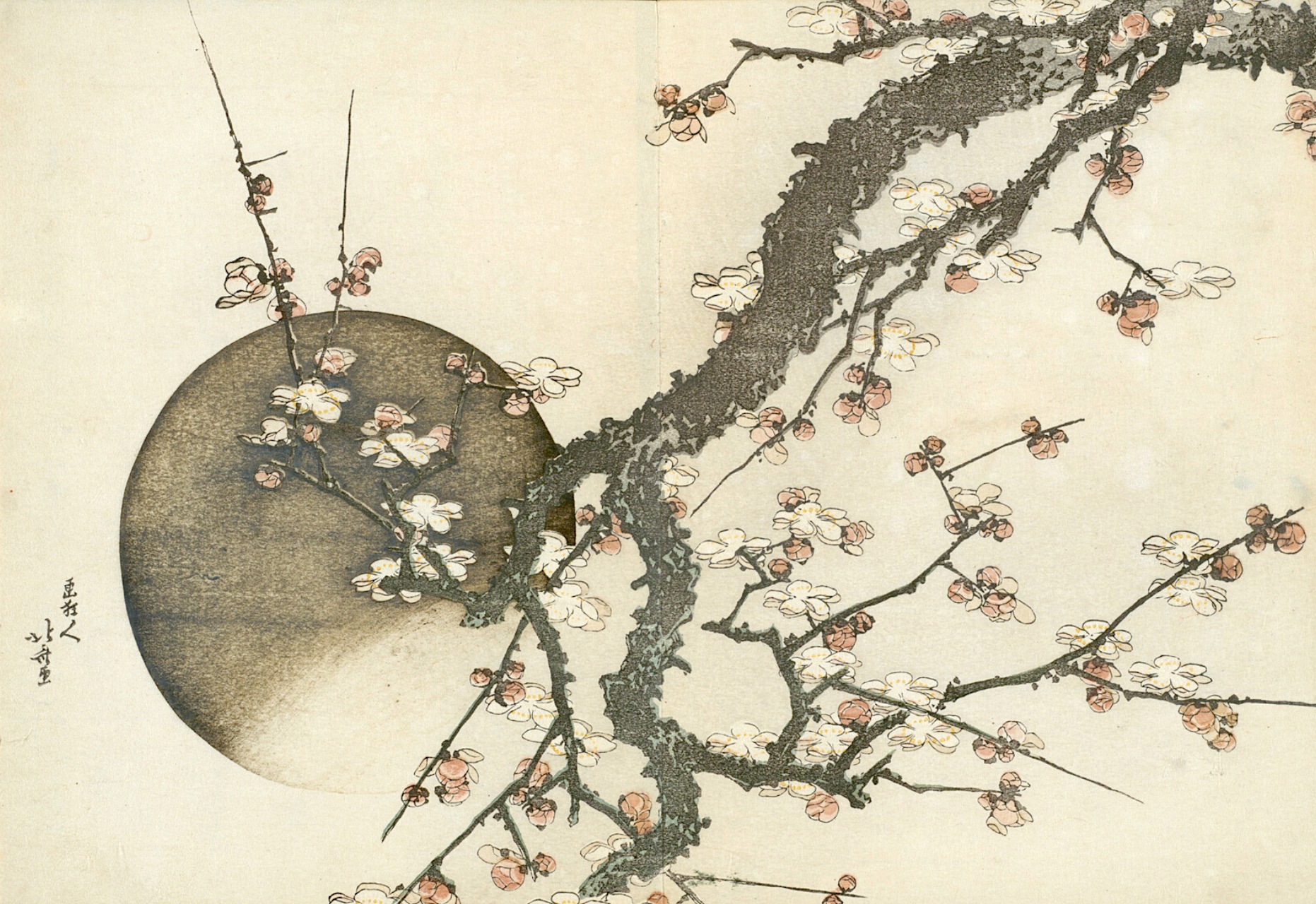 Plum Blossom and the Moon from the book Mount Fuji in Spring, c