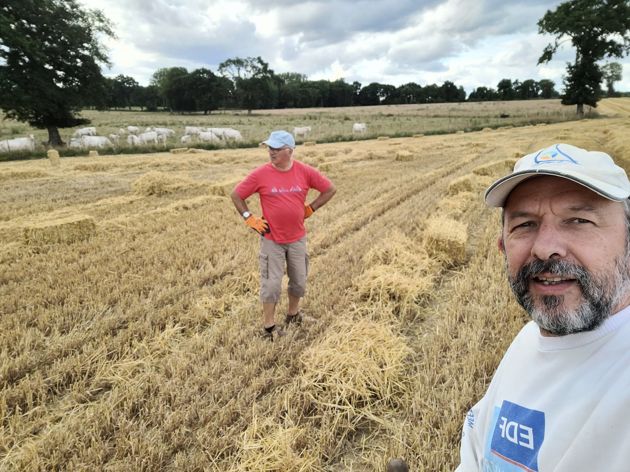 Course Caisse A Savon Saint Sulpice La Foret