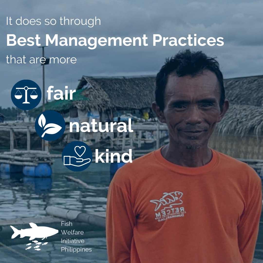 Fish Welfare Initiative Philippines
