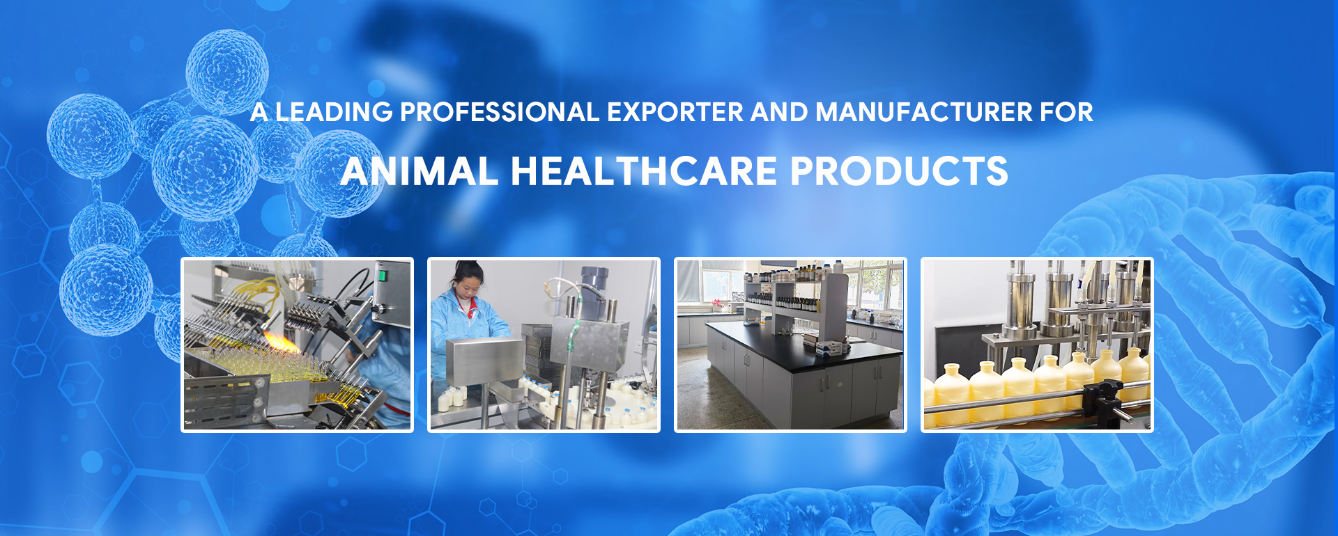 Vitboo-Animal Health Care Solution
