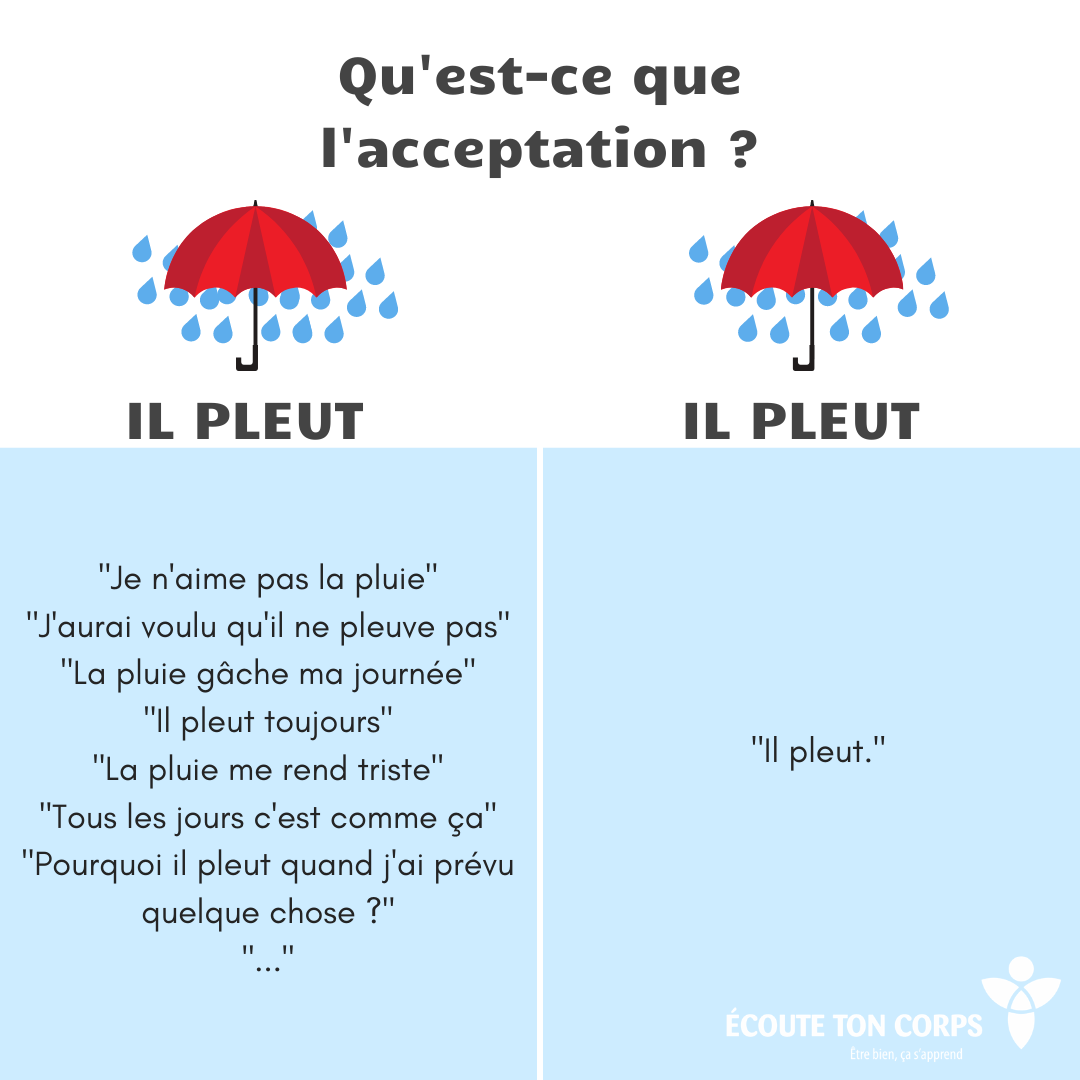 Qu Est Ce Que Veut Dire Le Mot