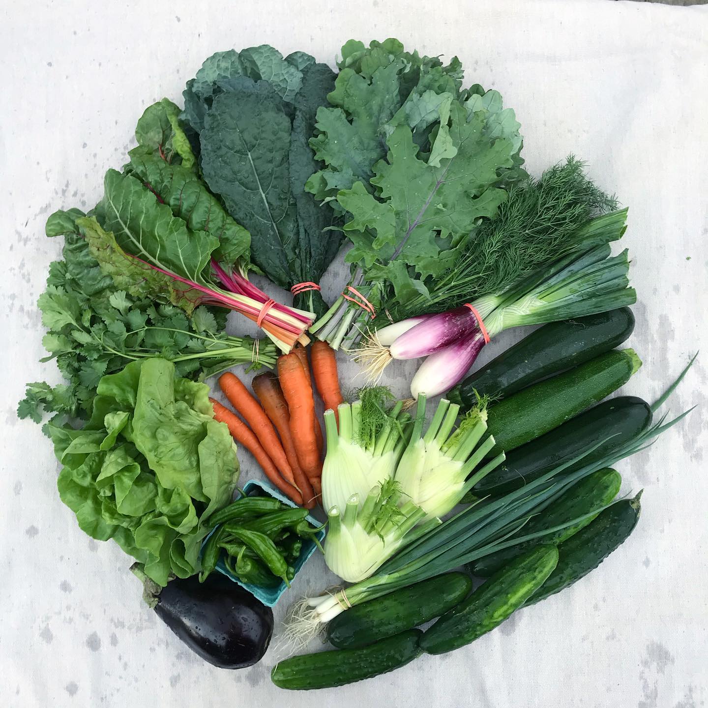 8 Letter Vegetables