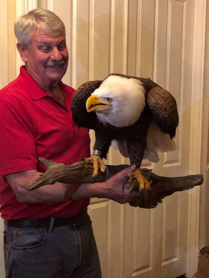 Custom Bald Eagle Sculpture by... - Wildlife Interiors Inc | Facebook